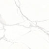 Polaris White